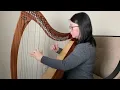 "Frostflowers", composed for the harp by Kristine Warmhold