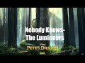 Nobody Knows- The Lumineers (Pete's Dragon) Official Lyric video
