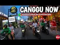 Lagu Terbaru kondisi canggu Bali menjelang akhir tahun - canggu Bali