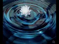 In Progress and Omnia - Air Flower (Original Mix)