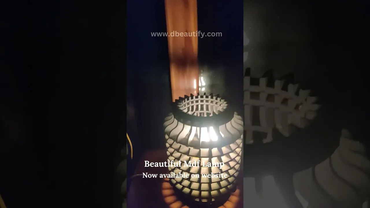 Matte Black Cage Pendant Lamp