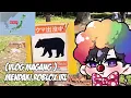 Download Lagu MENDAKI GUNUNG KAMIKOCHI IRL (SPONSORED BY AMMOCHAN)