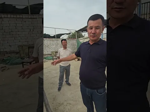 Bug‘doy urug‘ini tozalaydigan uskuna Dexqonobod tomon ketayapti