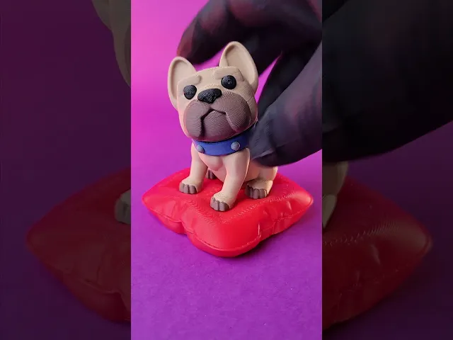 POPOL - The cute little Dog video thumbnail
