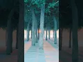 Download Lagu This music can listen forever! Sergey Grischuk! #short