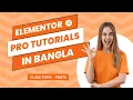 How To Use Elementor pro Posts Widget in Wordpress Elementor Pro Tutorials in Bangla