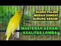 Download Lagu Kenari GACOR‼️ Masteran Burung Kenari PAUD dan Pancingan Kenari MACET BUNYI