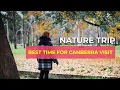The Trees And Gardens Of Canberra by Canberra Guided Tours