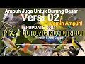 Download Lagu SUARA PIKAT BURUNG KECIL RIBUT TERAMPUH VERSI 02 2021