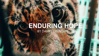 ENDURING HOPE By Daniel Deuschle 