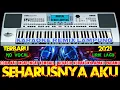 Download Lagu KARAOKE REMIX LAMPUNG | SEHARUSNYA AKU | COBA KAU INGAT INGAT KEMBALI | KEKASIH DIMANA KURANGNYA AKU
