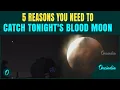 Download Lagu Blood Moon 2025 | 5 Reasons To Watch Lunar Eclipse| Final Lunar Eclipse 2025 | Blood Moon Today
