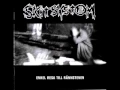 Lagu SKITSYSTEM - ENKEL RESA TILL RANNSTENEN (FULL ALBUM)