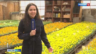 Ко Дню Победы парки и скверы города также украсят яркими цветами