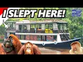 Lagu 3 Day Luxury ORANGUTAN JUNGLE CRUISE in Borneo! 🦧🇮🇩