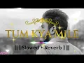 Tum kya mile ( Lofi music) 🌟 : Emraan Hashmi | pritam | Javed Ali | KSW