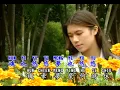 刘文正 原声原唱KV26 却上心头.flv