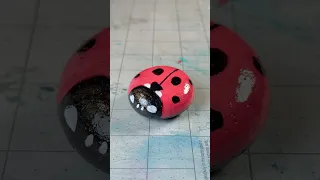 Lady Bug Rock Painting
