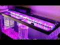 Aqueon Versa Top Hinged Glass Aquarium Top