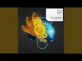 Download Lagu Birds Of Khazar