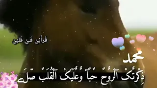 فيا حب فيا وجدا وشتياق لا يحد حالات واتس اب اناشيد عن الرسول مقاطع دينية قصيرة 