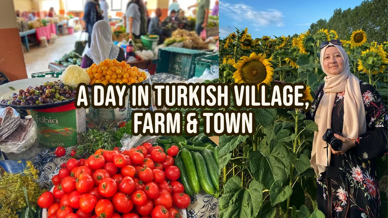 The Life In Turkish Village, Farm & Small Town Kastamonu, Turkey