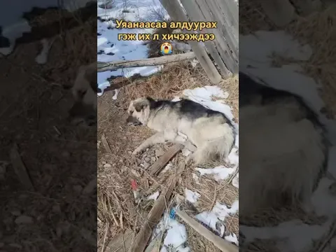 Үйлийн үр!