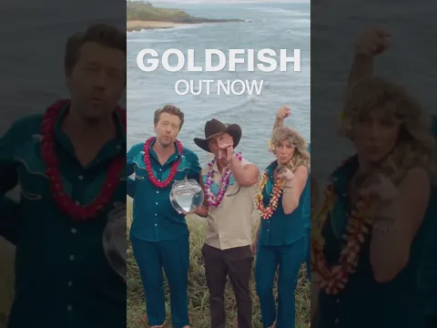 “Goldfish” is out now. Link in bio to watch the official music video and listen now.