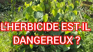 l’herbicide peut détruire ta plantation de poivre