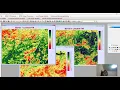GIS Lecture 6