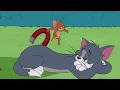 The Tom and Jerry Show | A Better Cat | Boomerang UK