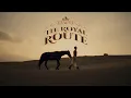 Download Lagu Mohammad Faiz | The Royal Route | Let’s create history together