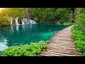 Download Lagu 10 Minutes Deep Relaxing Flute Music