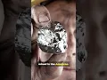Hands on History The Spanish Coin That Changed the World
