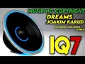 Download Lagu BACKSOUND NO COPYRIGHT YANG BIASA DI PAKAI IQ7 || DREAMS - JOAKIM KARUD