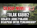 Lagu CILACAP MEMANAS, KABIB BAKAL DISURI PAKSA DARI PANGGUNG II TVAlwaha