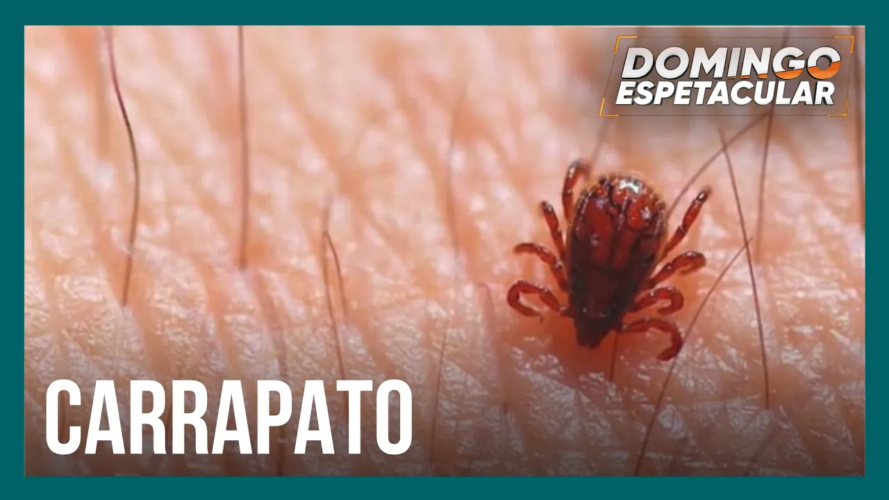 Febre maculosa provoca sequência de mortes no Brasil