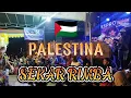 Download Lagu PALESTINA versi SEKAR RIMBA INDONESIA