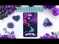 Download Lagu TAURUS ❤️  💫, 🤭YOU HAVE NO IDEA HOW MUCH THIS PERSON LOVES YOU 🫠🥰 NOVEMBER LOVE TAROT 2025 💥