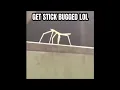 just a normal stick bug meme nothing to see here