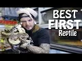 Whats the best First Snake or Lizard to get