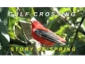 Download Lagu Gulf Crossing: Story of Spring