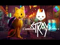 I M AN ACTUAL CAT Stray Fan Choice Friday