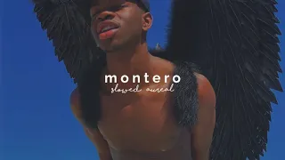 Lil Nas X Montero Call Me By Your Name Slowed Reverb 