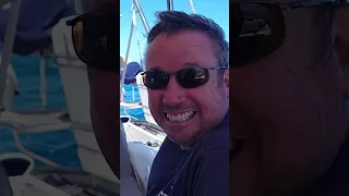 Monohull BEATS Catamaran in a Sailing Race Easily! #shorts