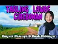 Download Lagu TARLING CIREBONAN PANTURA PALING DICARI ENAK DIDENGAR EMPUK BASSNYA