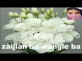 Download Lagu Suan le ba fang shou ba - Bao lin // 算了吧放手吧 - 暴林