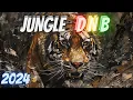 Download Lagu JUNGLE DNB 2024