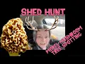2023 March Shed Hunt Morel Mushroom Tree Spotting