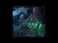 SCHIZOGEN - Schematics (Dying Fetus cover)